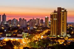 Top 5 Drawing and Illustration Design Agencies in Paraguay