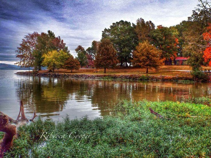 Top or Best Social Media Marketing Agencies and Companies in Russellville, Arkansas