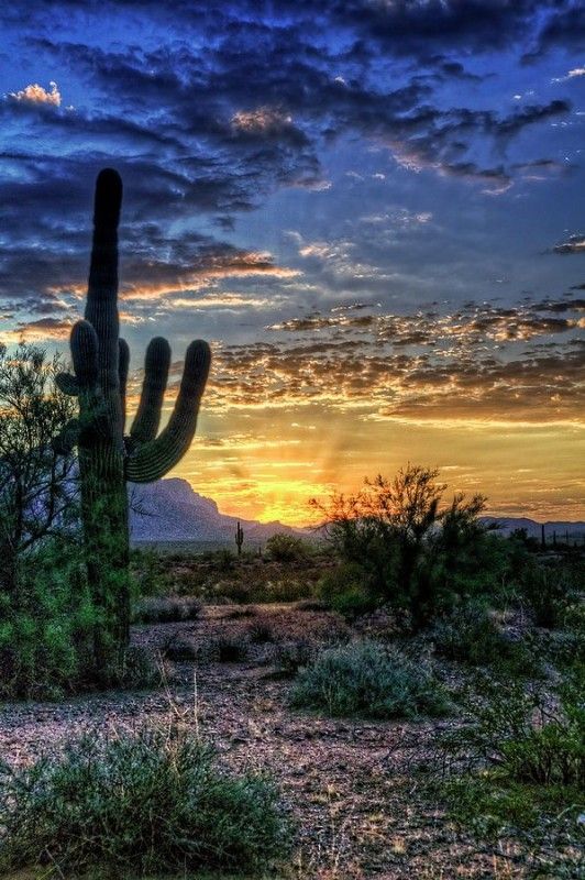 Top or Best Invitation Design Agencies and Companies in Phoenix, Arizona