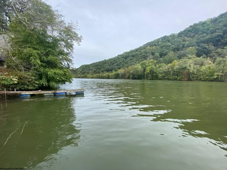 Top or Best YouTube Management Agencies and Companies in Morgantown, West Virginia