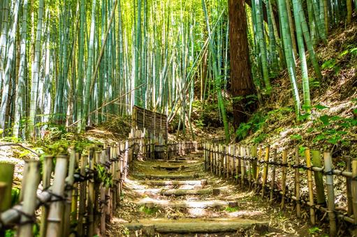 Top or Best Twitch Management Agencies and Companies in Chiba, Japan