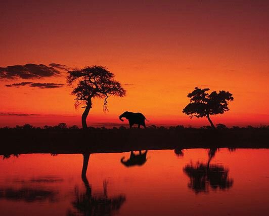 Top Drawing and Illustration Agencies in Botswana