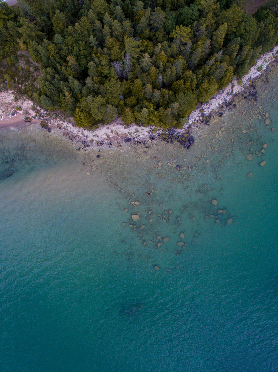 Top or Best Flyer Design Agencies and Companies in Sterling Heights, Michigan