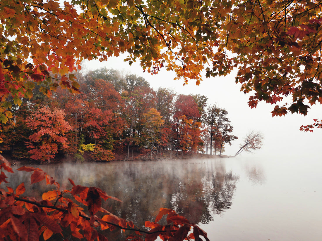 Top and Best NFT Art Agencies and Companies in Suffolk, Virginia