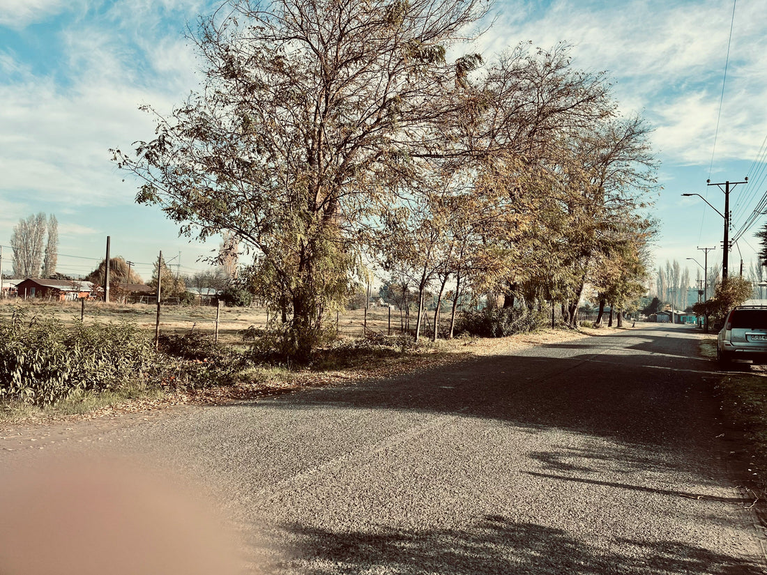 Top and Best TikTok Management Agencies and Companies in Old Bridge, New Jersey