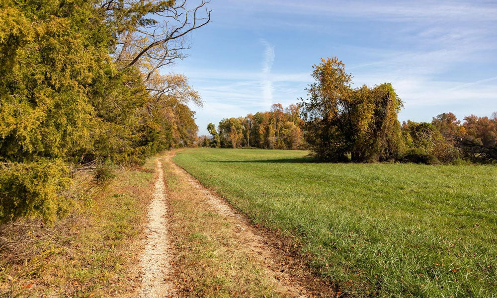 Top or Best X (Twitter) Management Agencies and Companies in Waldorf, Maryland