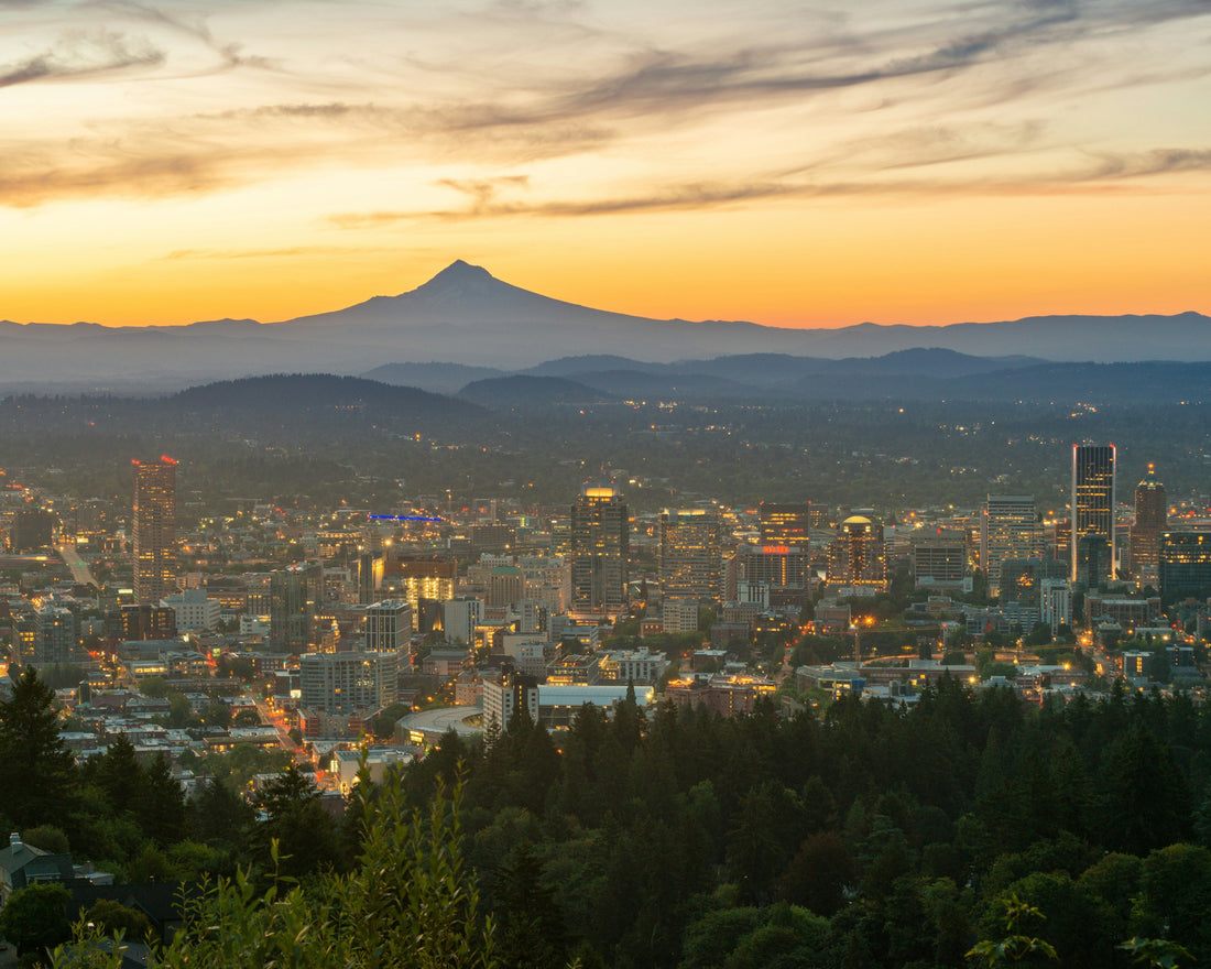 Top and Best Logo Design Agencies and Companies in Portland, Oregon