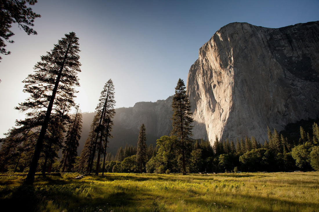 Top and Best Social Media Management Agencies and Companies in Rapid Valley, South Dakota
