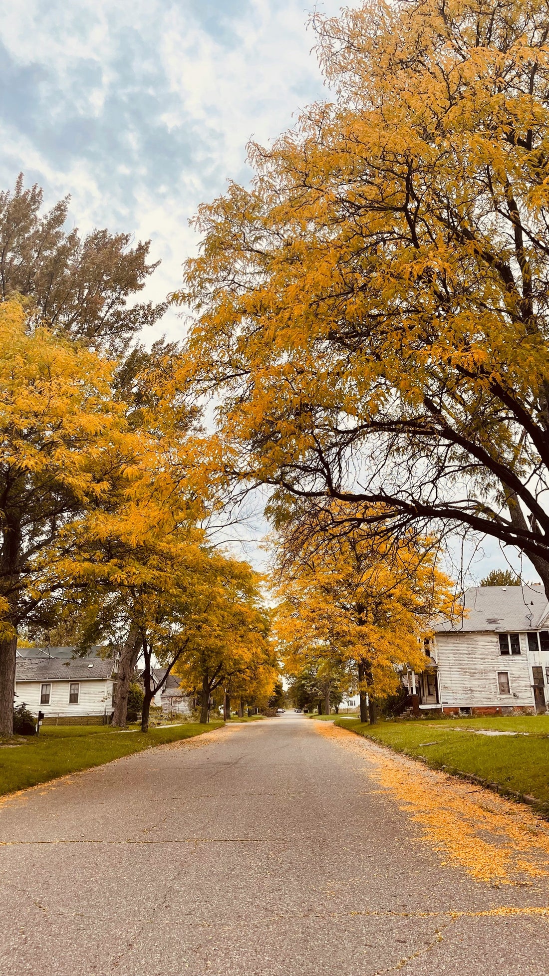 Top or Best Invitation Design Agencies and Companies in Lansing, Michigan