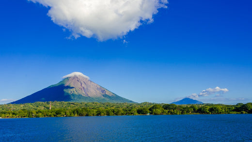 Top Web and Mobile Design Agencies in Nicaragua