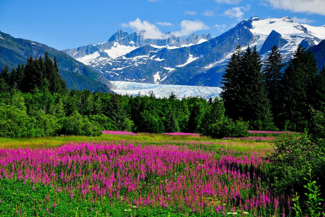 Top or Best App UI/UX Design Agencies and Companies in Meadow Lakes, Alaska