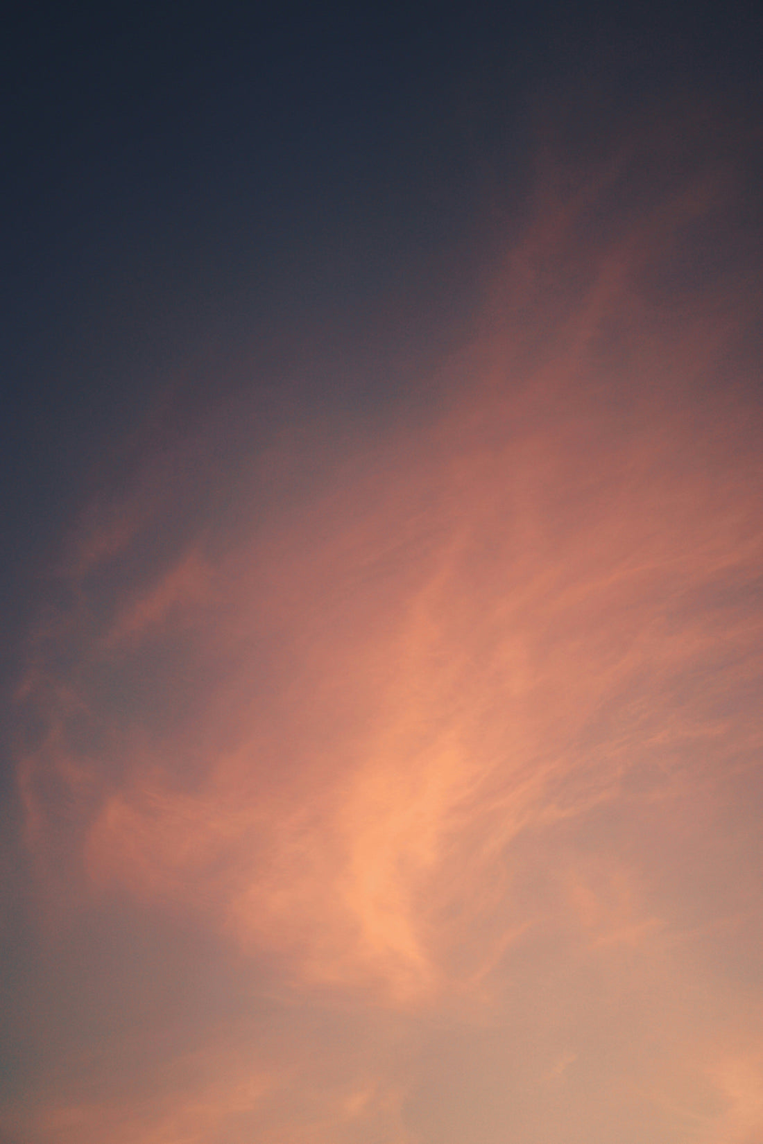 Top or Best Drawing and Illustration Agencies and Companies in Emporia, Kansas