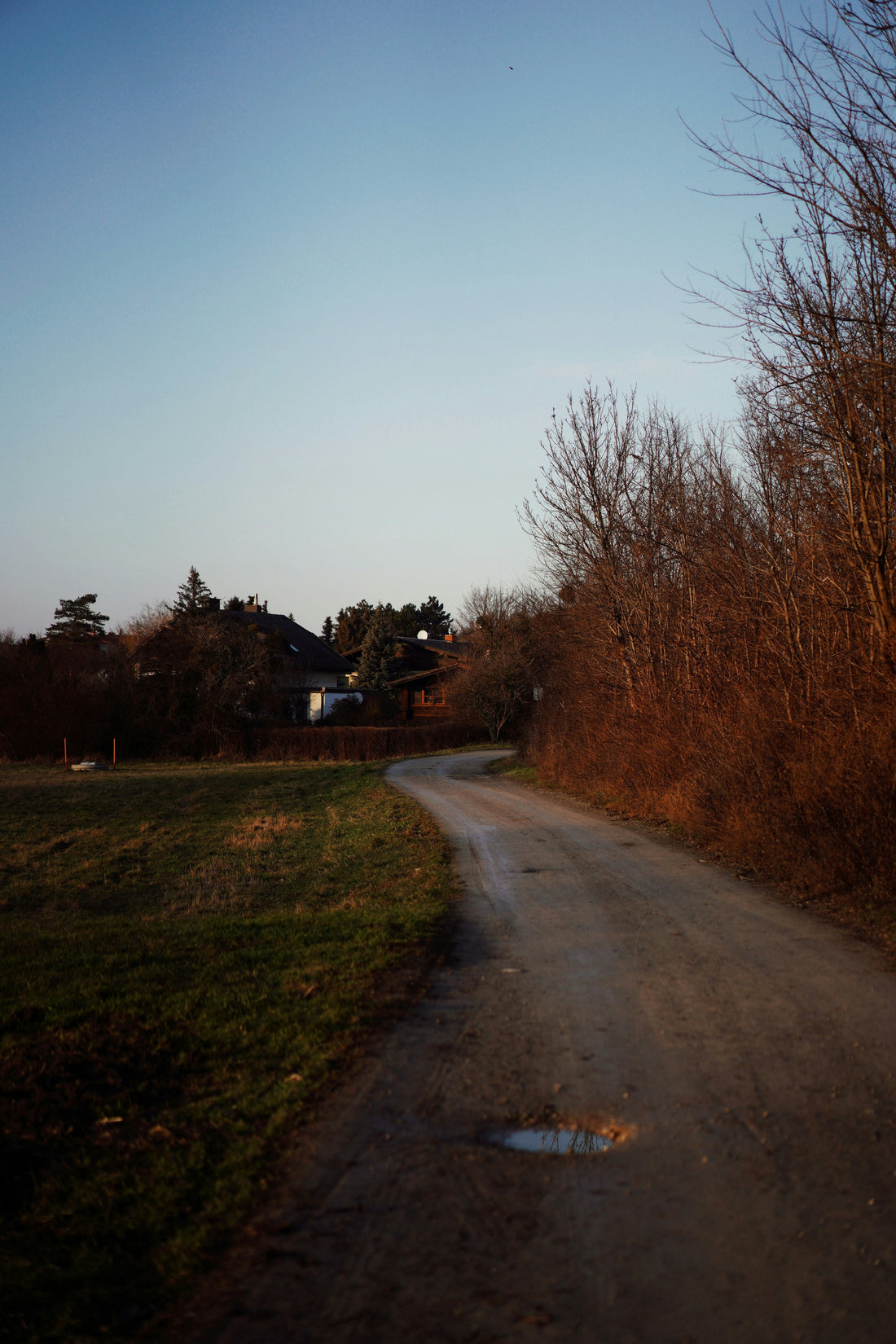 Top or Best Drawing and Illustration Agencies and Companies in Middletown, New Jersey