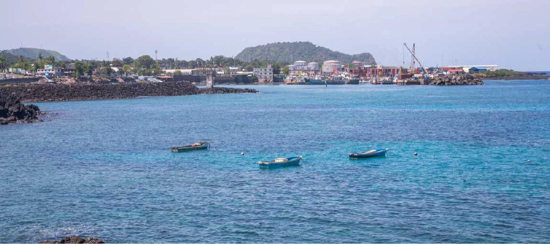 Top or Best Athlete Management Agencies and Companies in Comoros