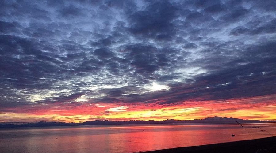 Top or Best AR Filters & Lenses Agencies and Companies in Kalifornsky, Alaska