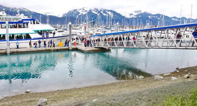 Top or Best AR Filters & Lens Design Agencies and Companies in Kenai, Alaska