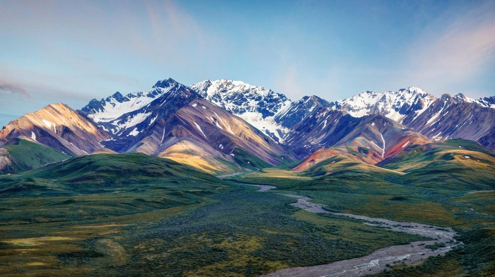 Best Twitch Management Companies in Alaska
