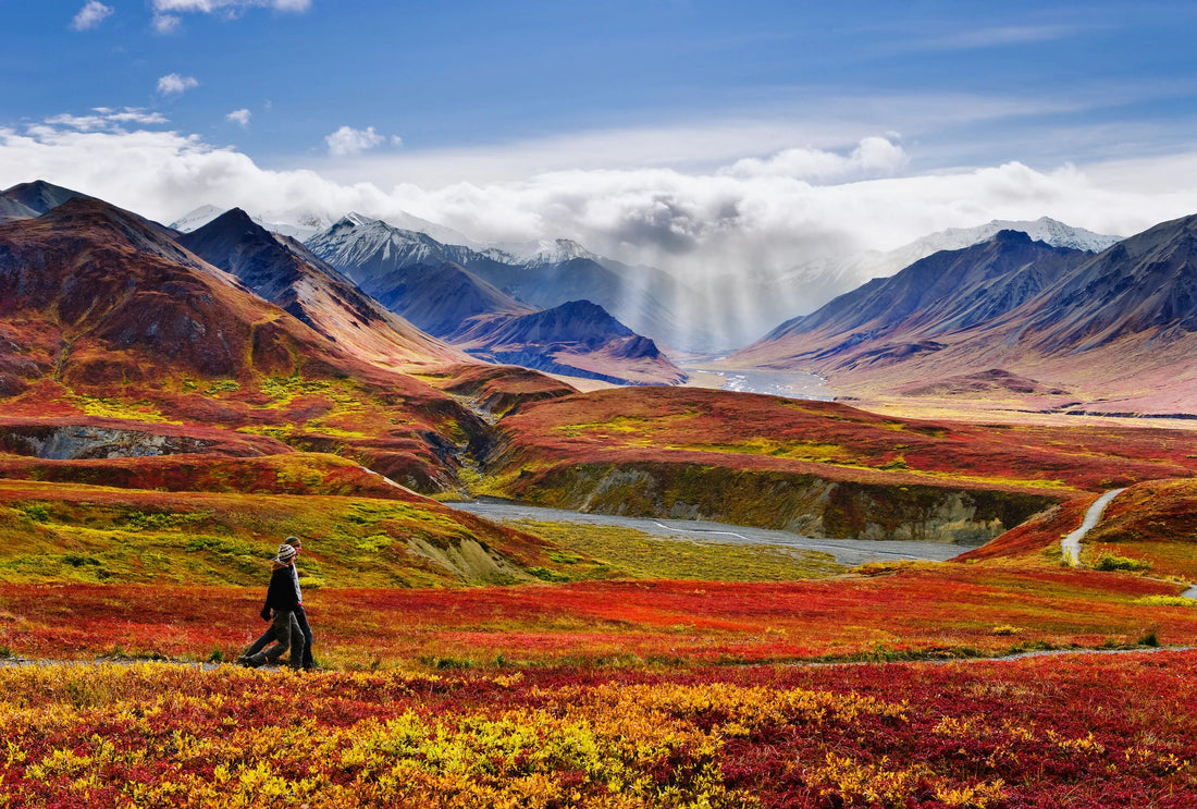 Best X (Twitter) Management Companies in Alaska
