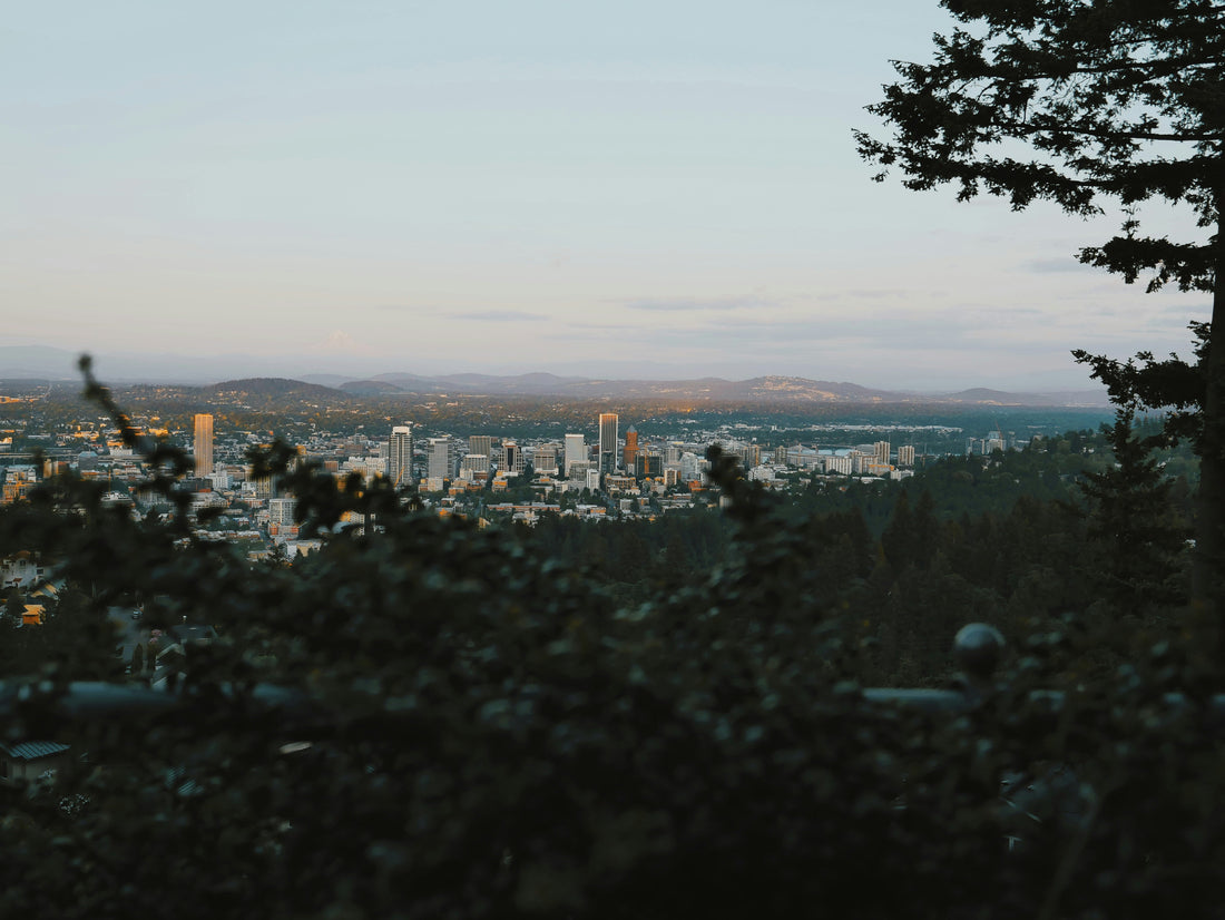 Top and Best Facebook Management Agencies and Companies in Corvallis, Oregon