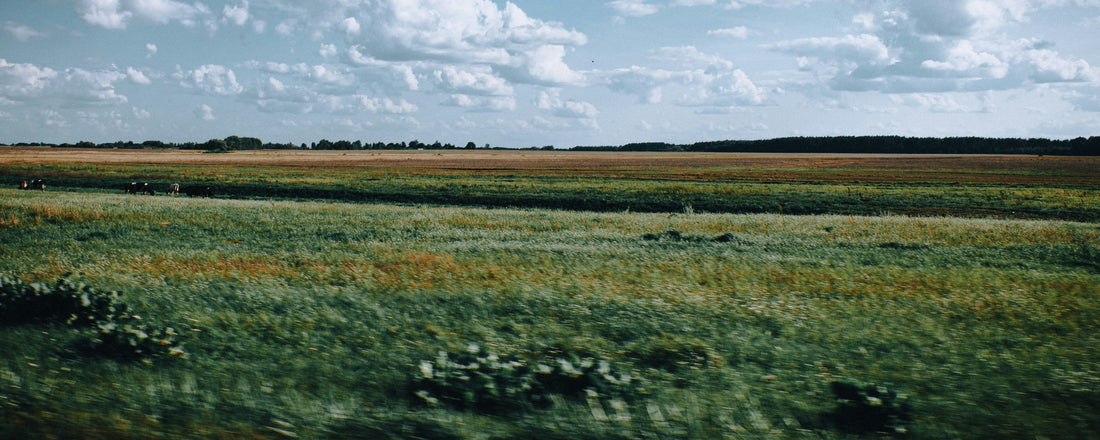 Top or Best Business Card Design Agencies and Companies in Topeka, Kansas