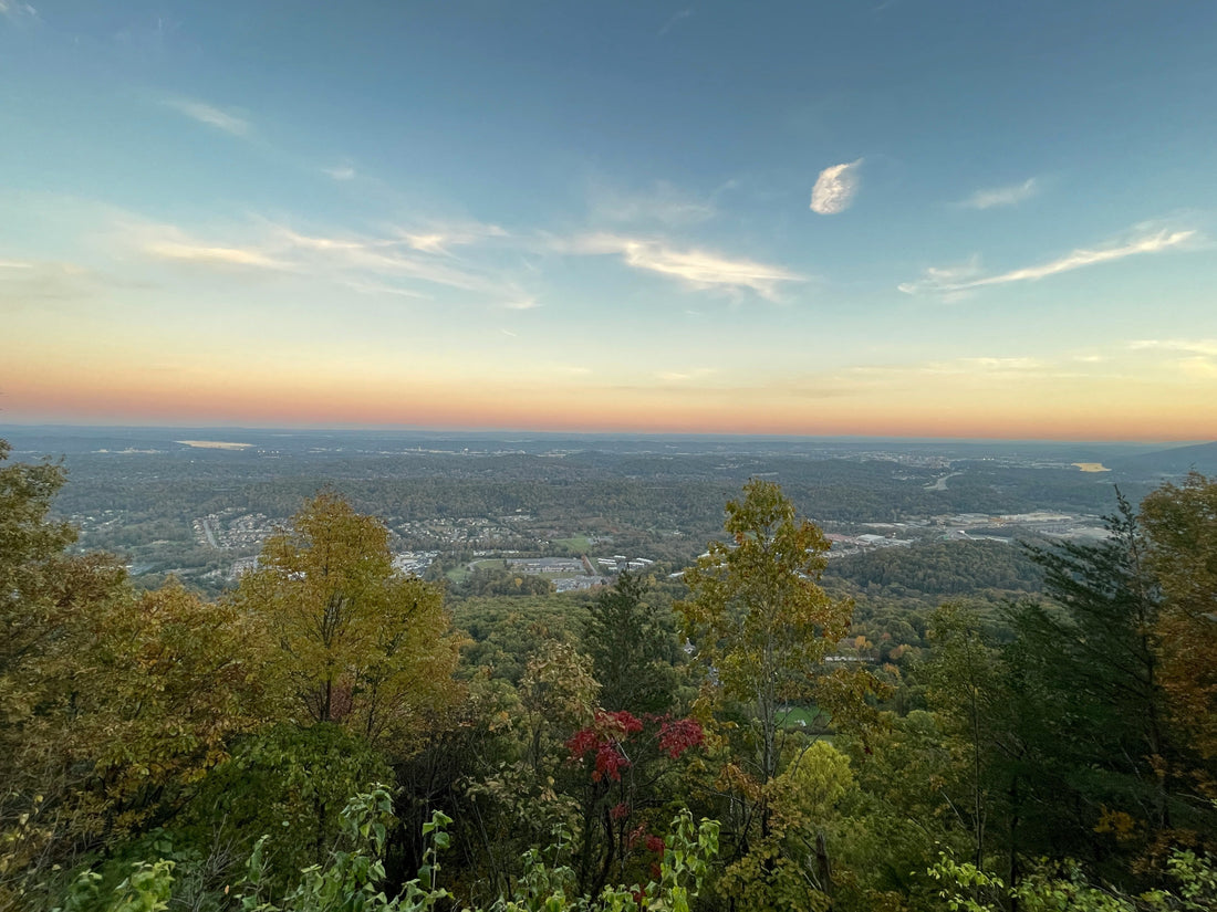 Top and Best Graphic Design Subscription Agencies and Companies in Burlington, North Carolina