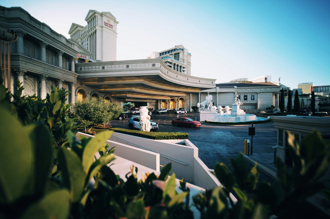 Top and Best Logo Design Agencies and Companies in Paradise, Nevada