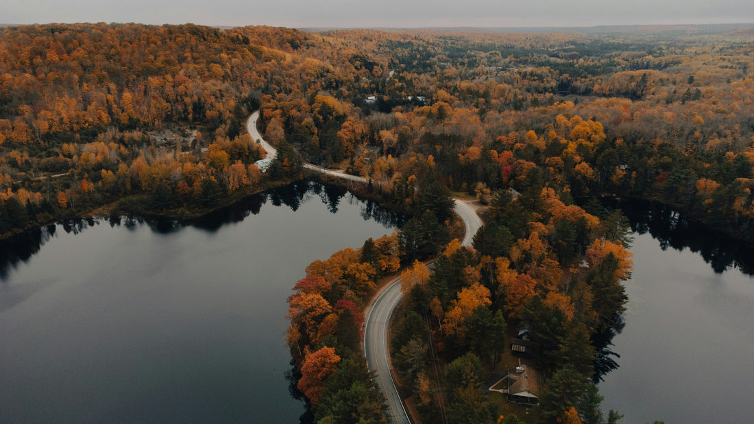 Top or Best Infographic Design Agencies and Companies in Lansing, Michigan