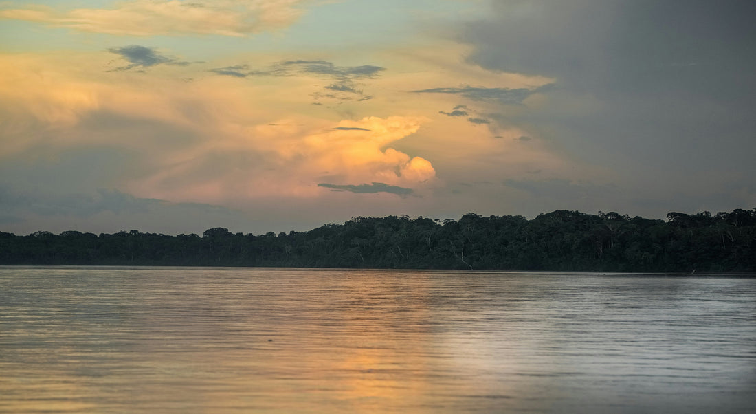 Top or Best AR Filters and Lenses Agencies and Companies in Horn Lake, Mississippi
