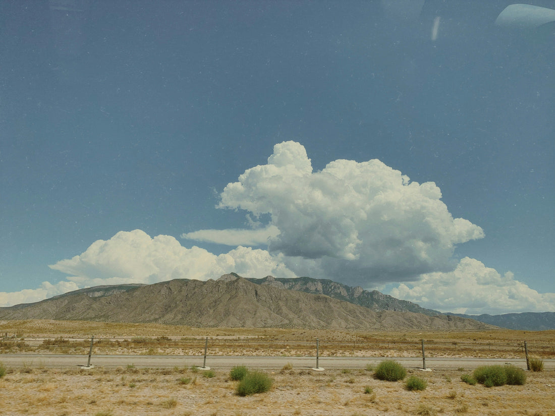 Top and Best Website Design Agencies and Companies in Paradise, Nevada