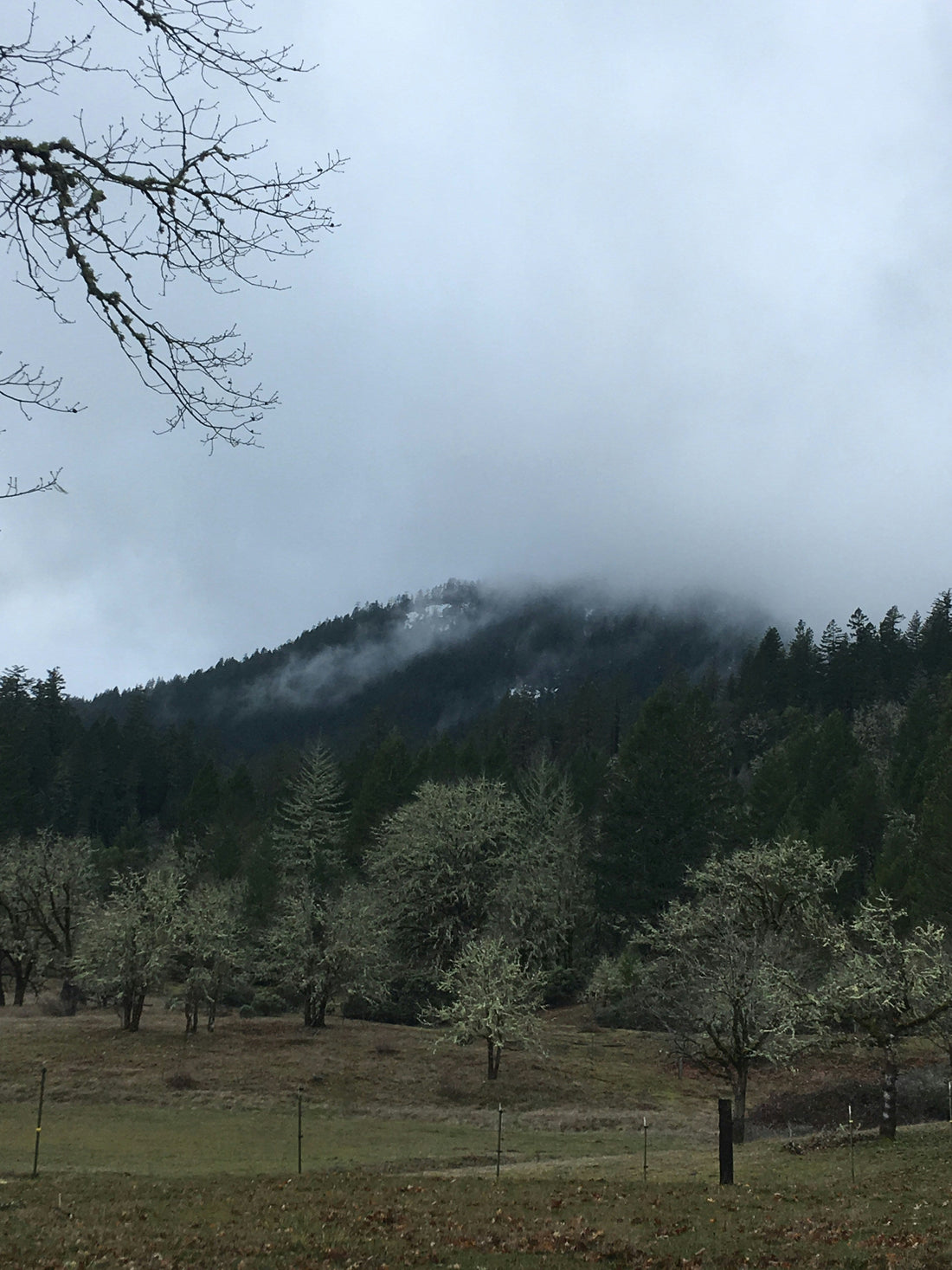 Top and Best TikTok Management Agencies and Companies in Eugene, Oregon