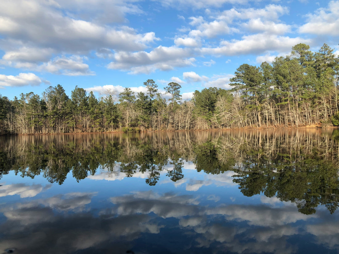 Top and Best Facebook Management Agencies and Companies in Burlington, North Carolina