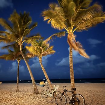 Top or Best Animation and Motion Graphics Agencies and Companies in Hialeah, Florida