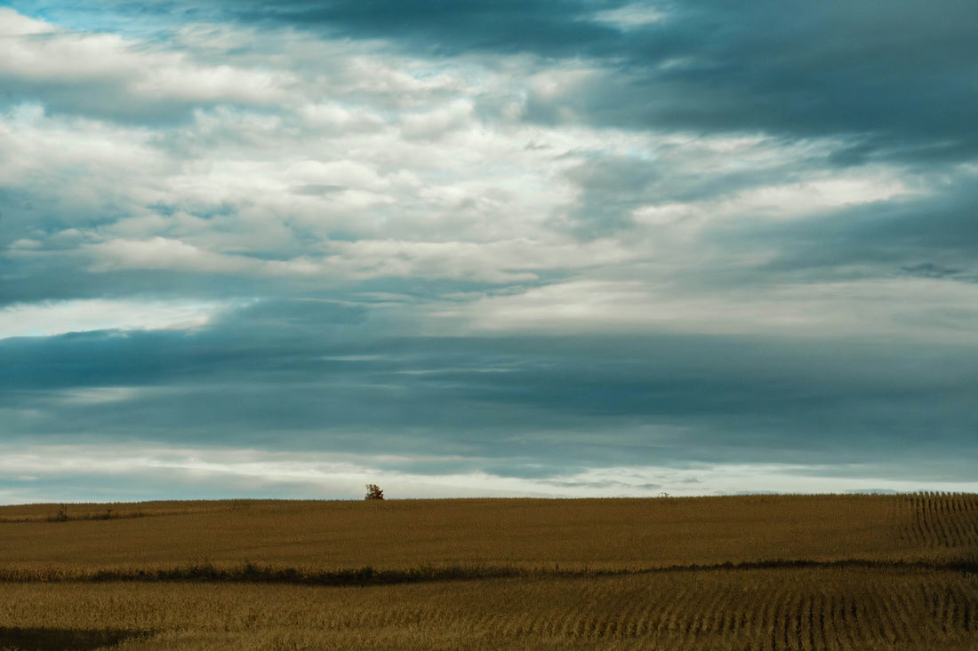Top and Best Twitch Management Agencies and Companies in Huron, South Dakota