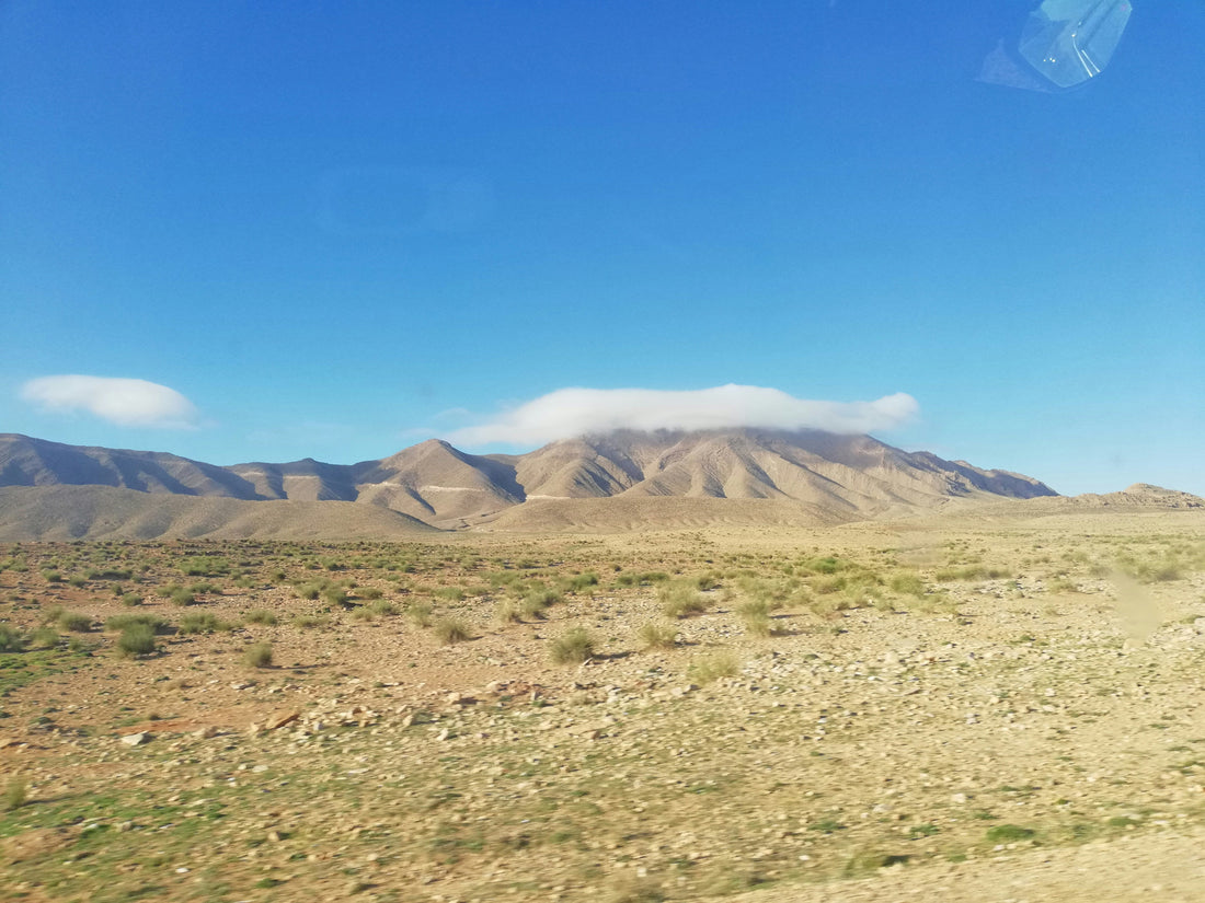 Top and Best Menu Design Agencies and Companies in Paradise, Nevada