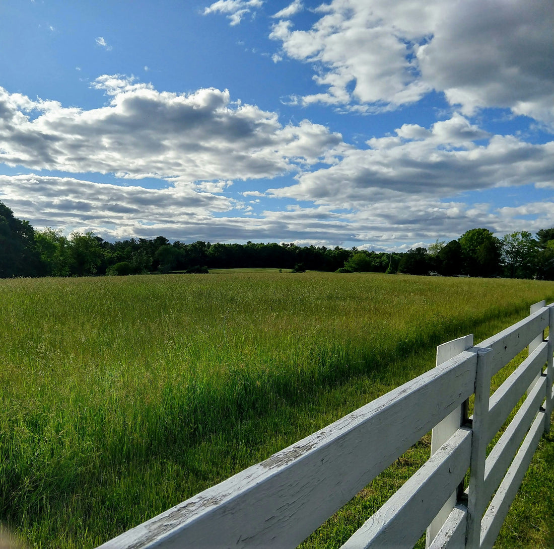 Top and Best Cartoon and Comic Agencies and Companies in Bayonne, New Jersey