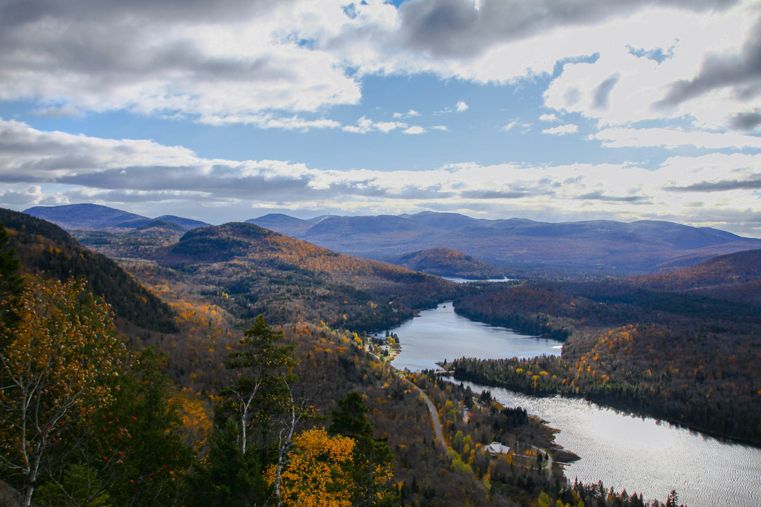 Top and Best Facebook Management Agencies and Companies in Roanoke, Virginia