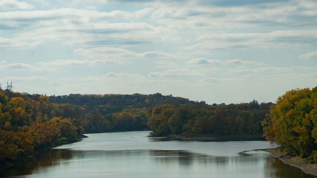 Top or Best YouTube Management Agencies and Companies in Horn Lake, Mississippi