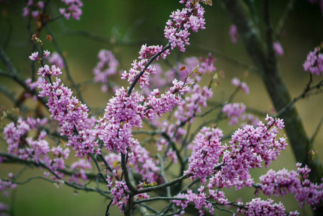 Top or Best LinkedIn Management Agencies and Companies in Frederick, Maryland