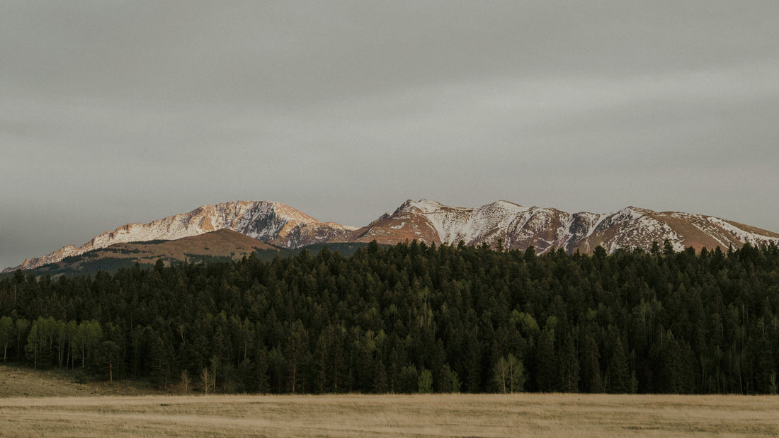 Top and Best Social Media Design Agencies and Companies in Casper, Wyoming