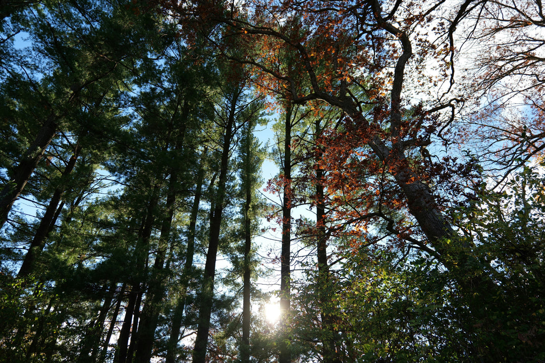 Top or Best Catalog Design Agencies and Companies in Des Moines, Iowa