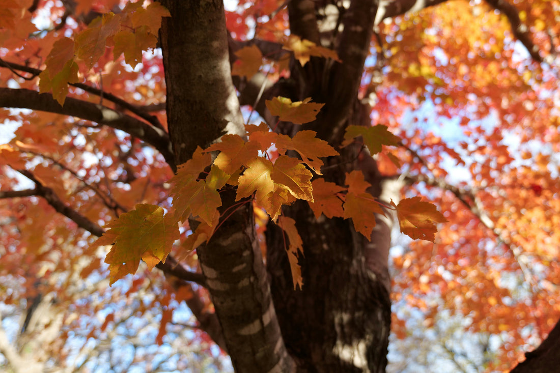 Top or Best Presentation Design Agencies and Companies in Des Moines, Iowa