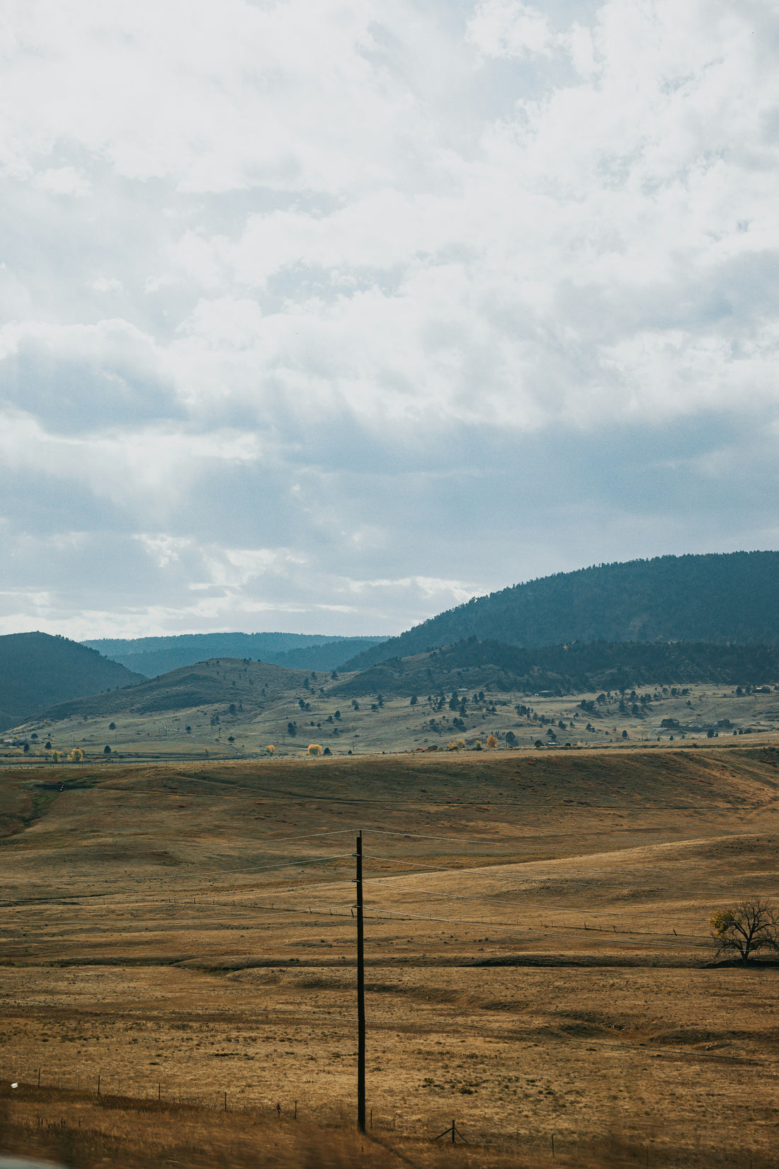 Top or Best Mural Design Agencies and Companies in Miles City, Montana