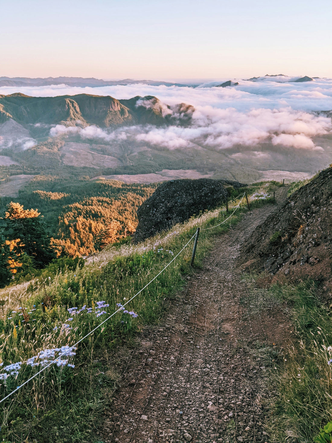 Top and Best Instagram Management Agencies and Companies in Portland, Oregon
