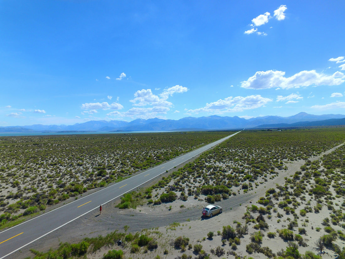 Top and Best Cartoons and Comics Agencies and Companies in Paradise, Nevada