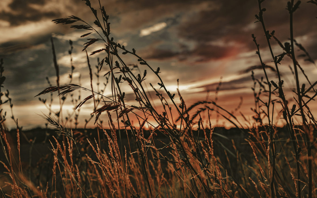 Top or Best App UI/UX Design Agencies and Companies in Des Moines, Iowa