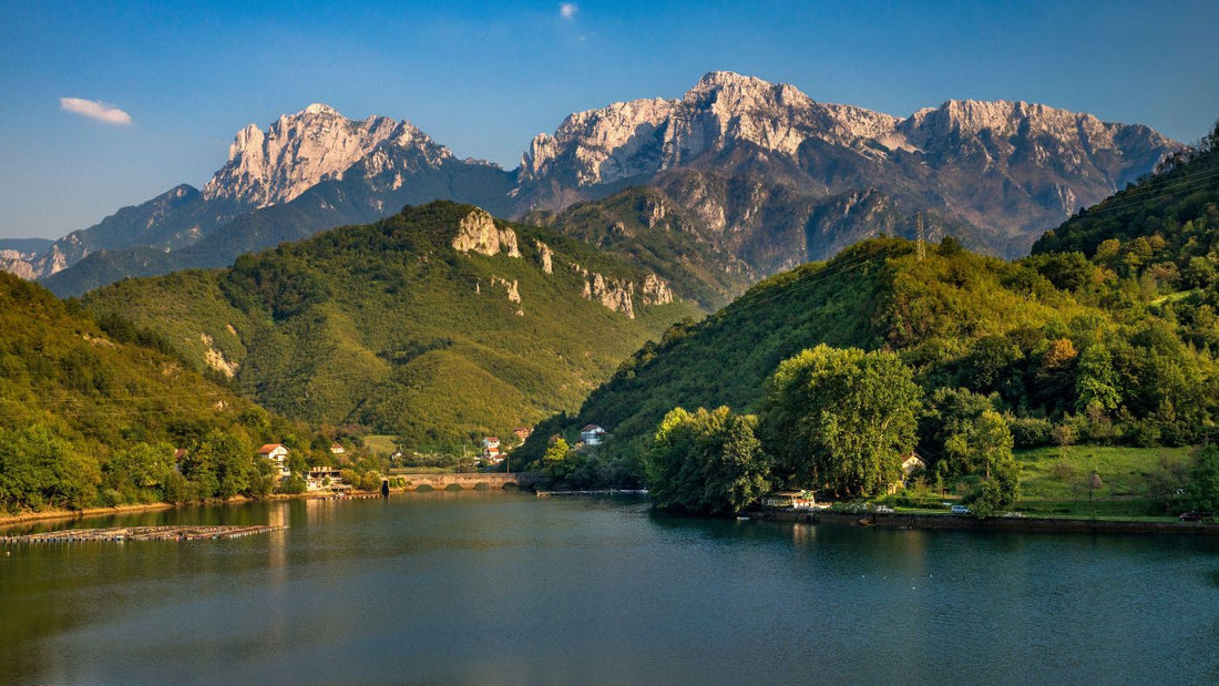 Top Animation and Motion Graphics Agencies in Bosnia and Herzegovina
