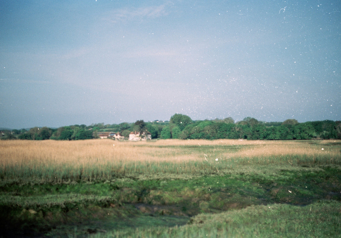 Top and Best Postcard Design Agencies and Companies in Suffolk, Virginia