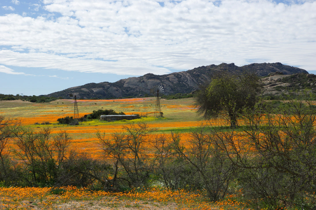 Top or Best App UI/UX Design Agencies and Companies in Spring Valley, Nevada