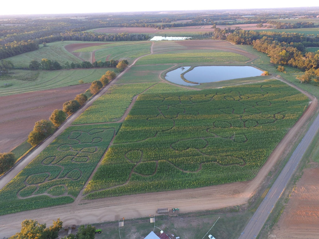 Top or Best Presentation Design Agencies and Companies in Dothan, Alabama