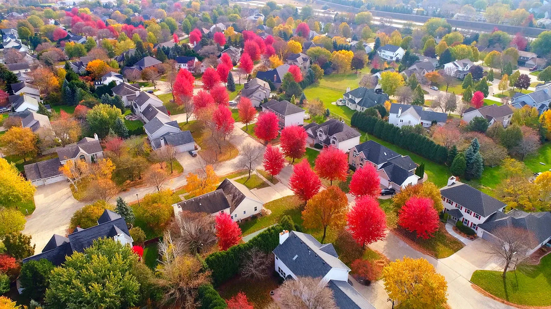 Top or Best Twitch Management Agencies and Companies in Appleton, Wisconsin